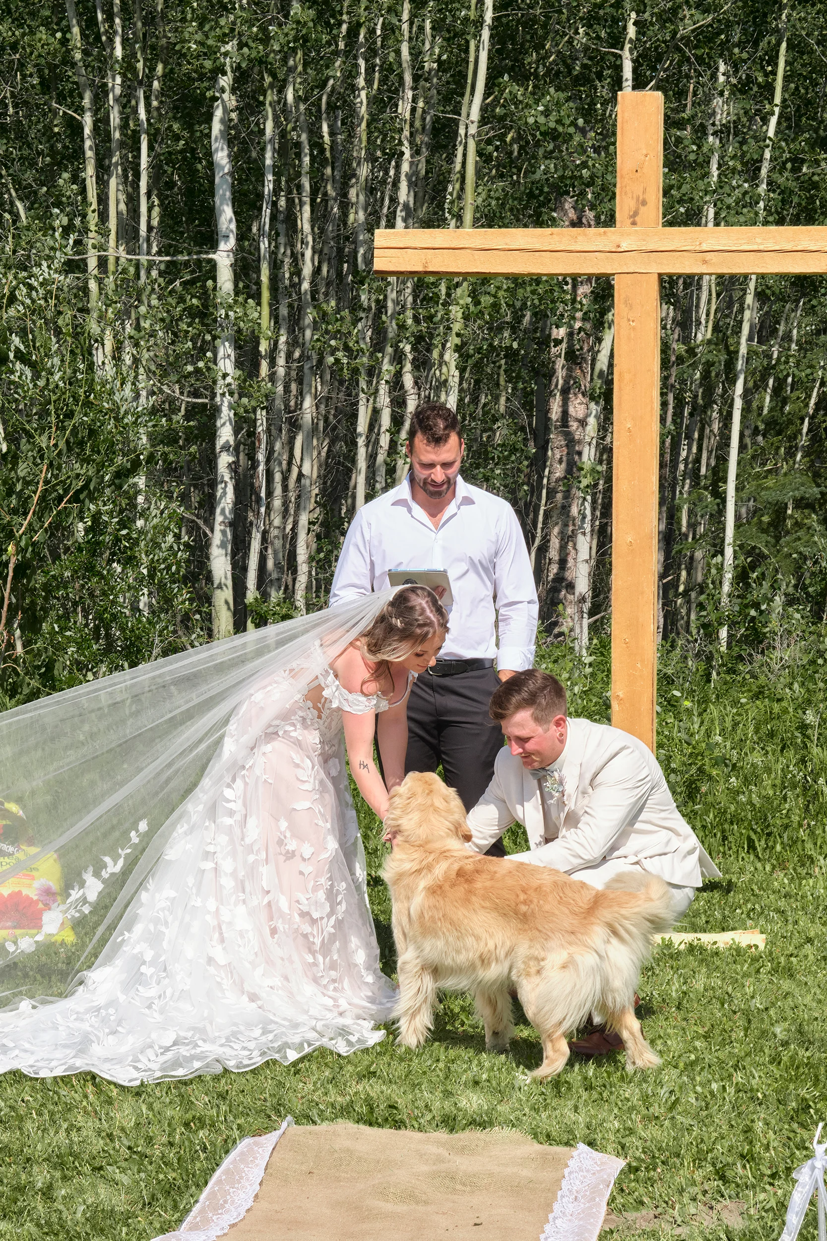 Pulse Productions Inc. - Photographers - Langley, Vancouver Island (photo 6)