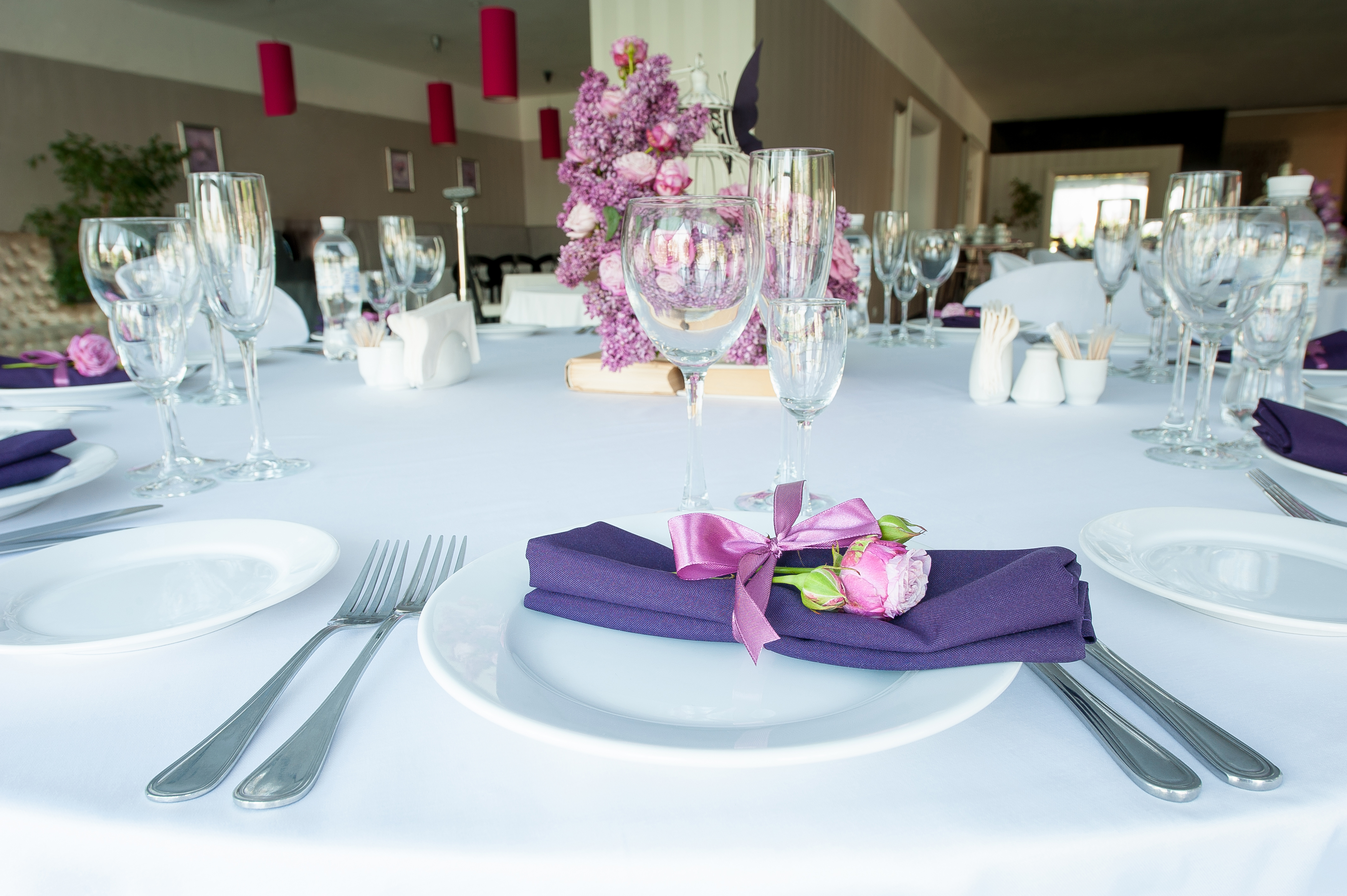 AS Special Events Party & Tent Rentals - Rentals - Guelph, Vancouver Island (photo 1)