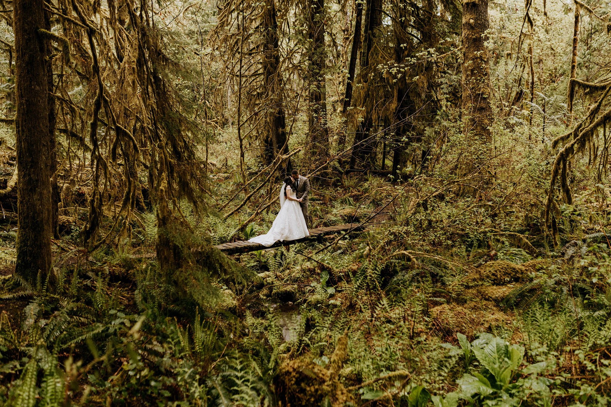 Moonrise Photography - Photographers - Victoria, Vancouver Island (photo 4)