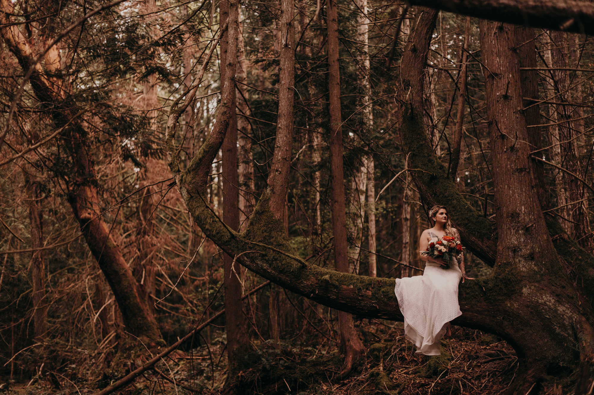 Island Moments Photography