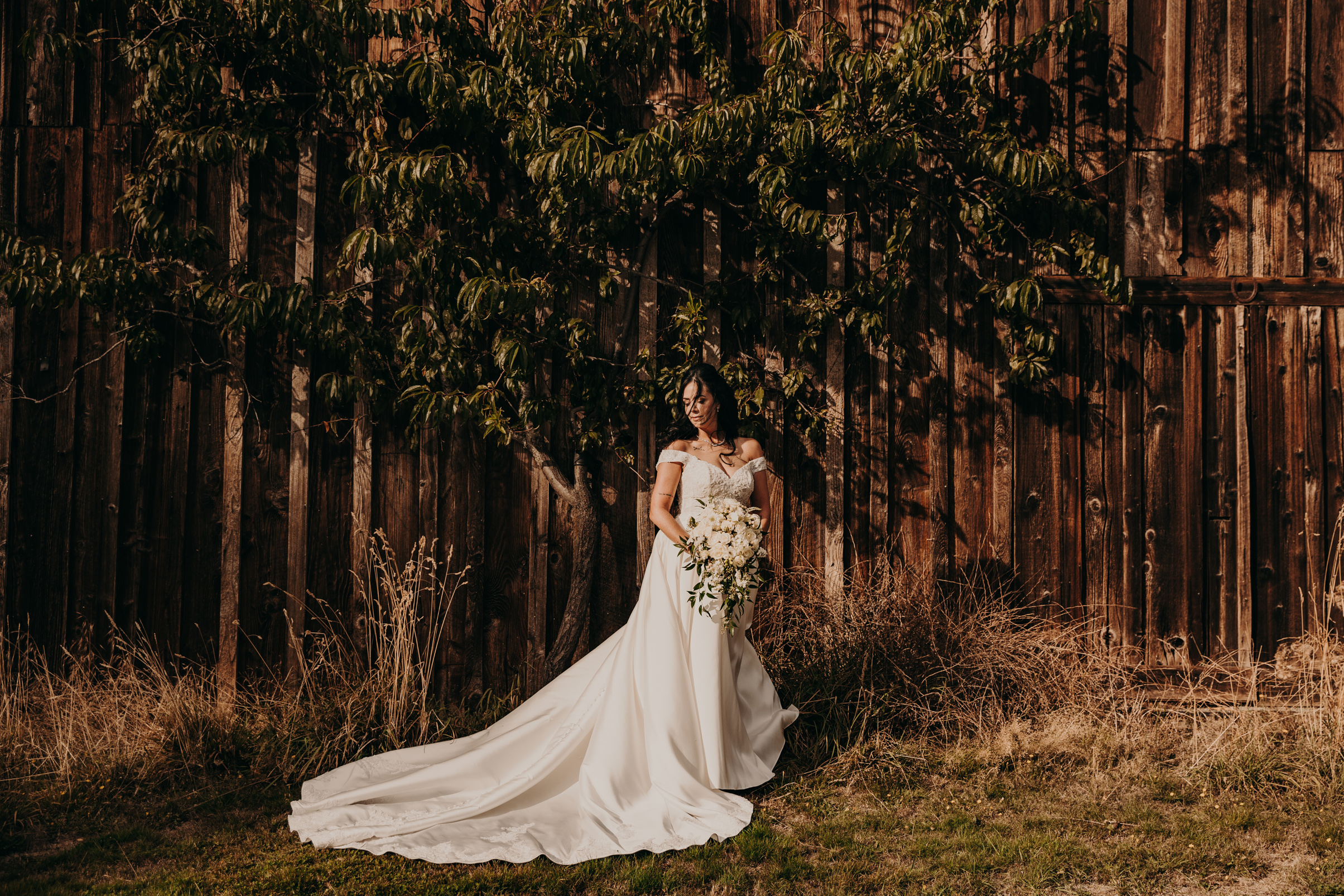 Island Moments Photography