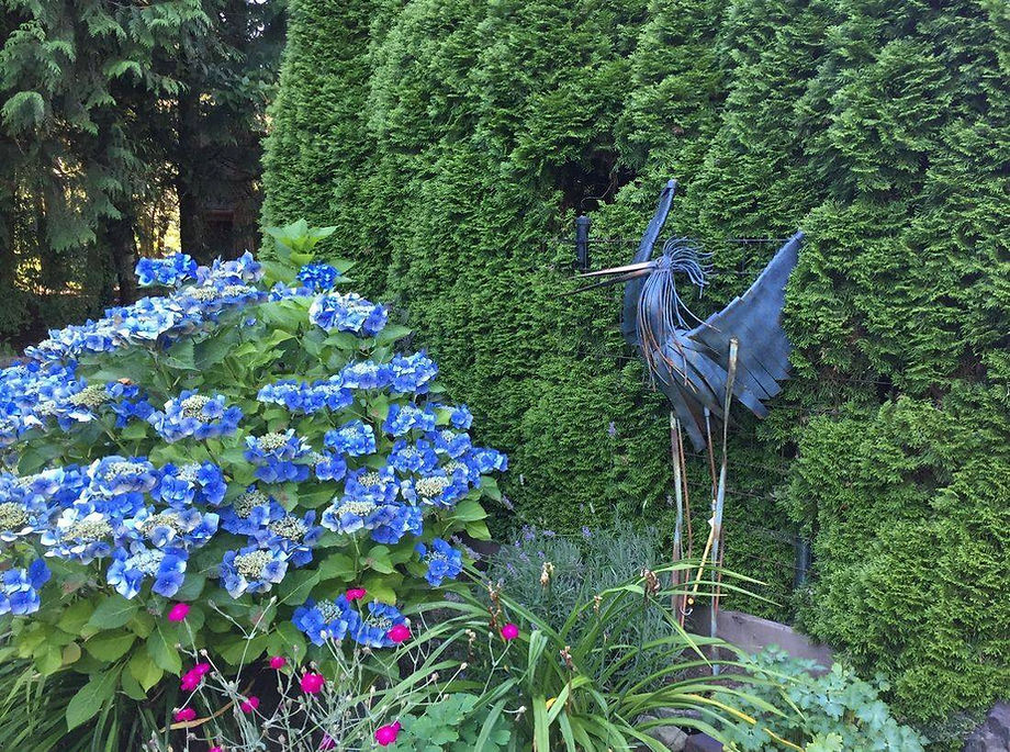 Blue Heron Estates