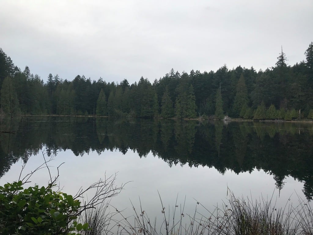 Newcastle Island