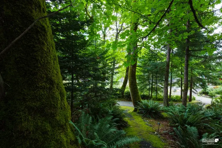Gowlland Harbour Resort — Venues — Nanaimo, Vancouver Island (photo 3)