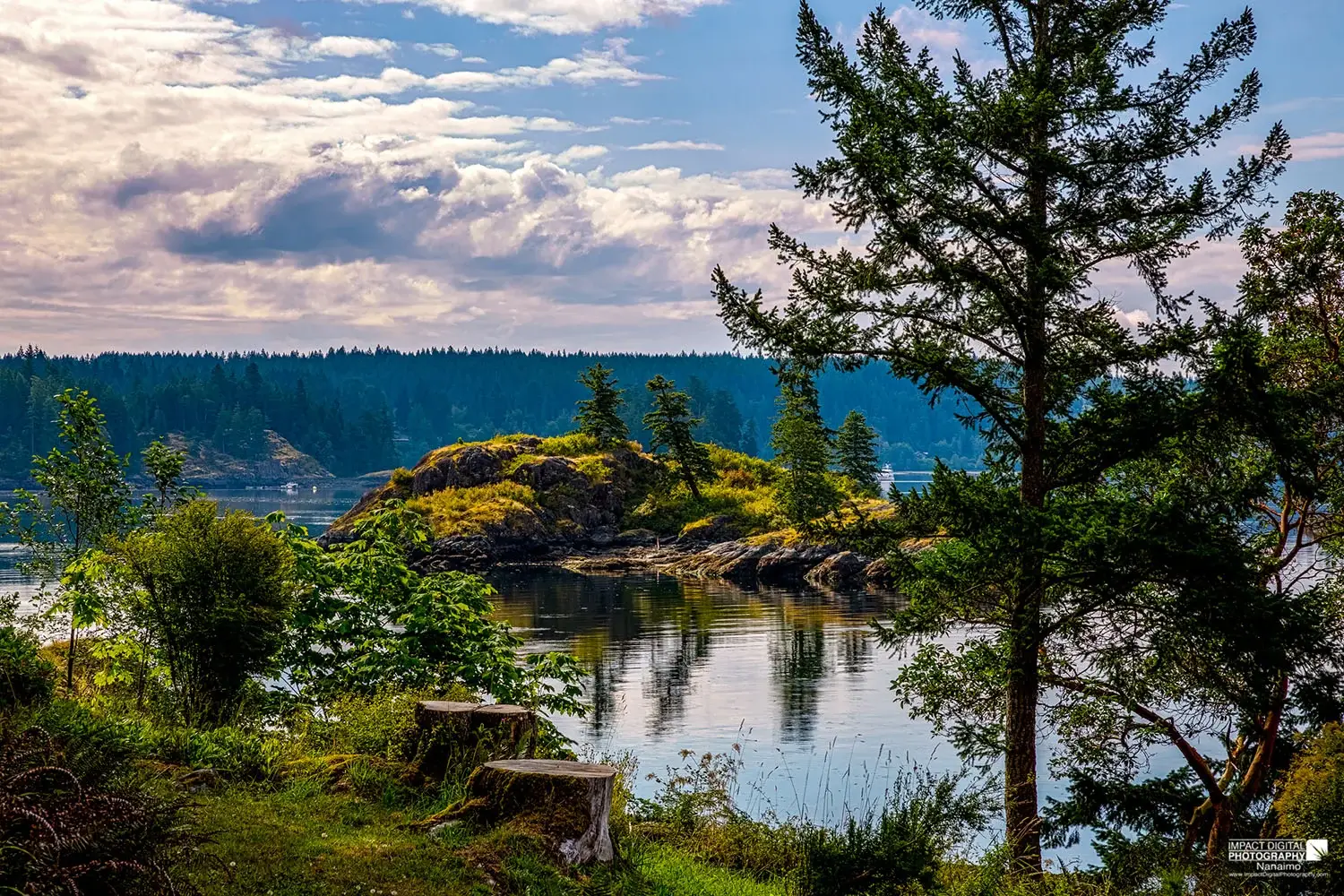 Gowlland Harbour Resort — Venues — Nanaimo, Vancouver Island (photo 4)