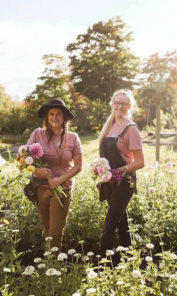 Three Birds Flower Farm - Florists - Muskoka, Vancouver Island (photo 2)