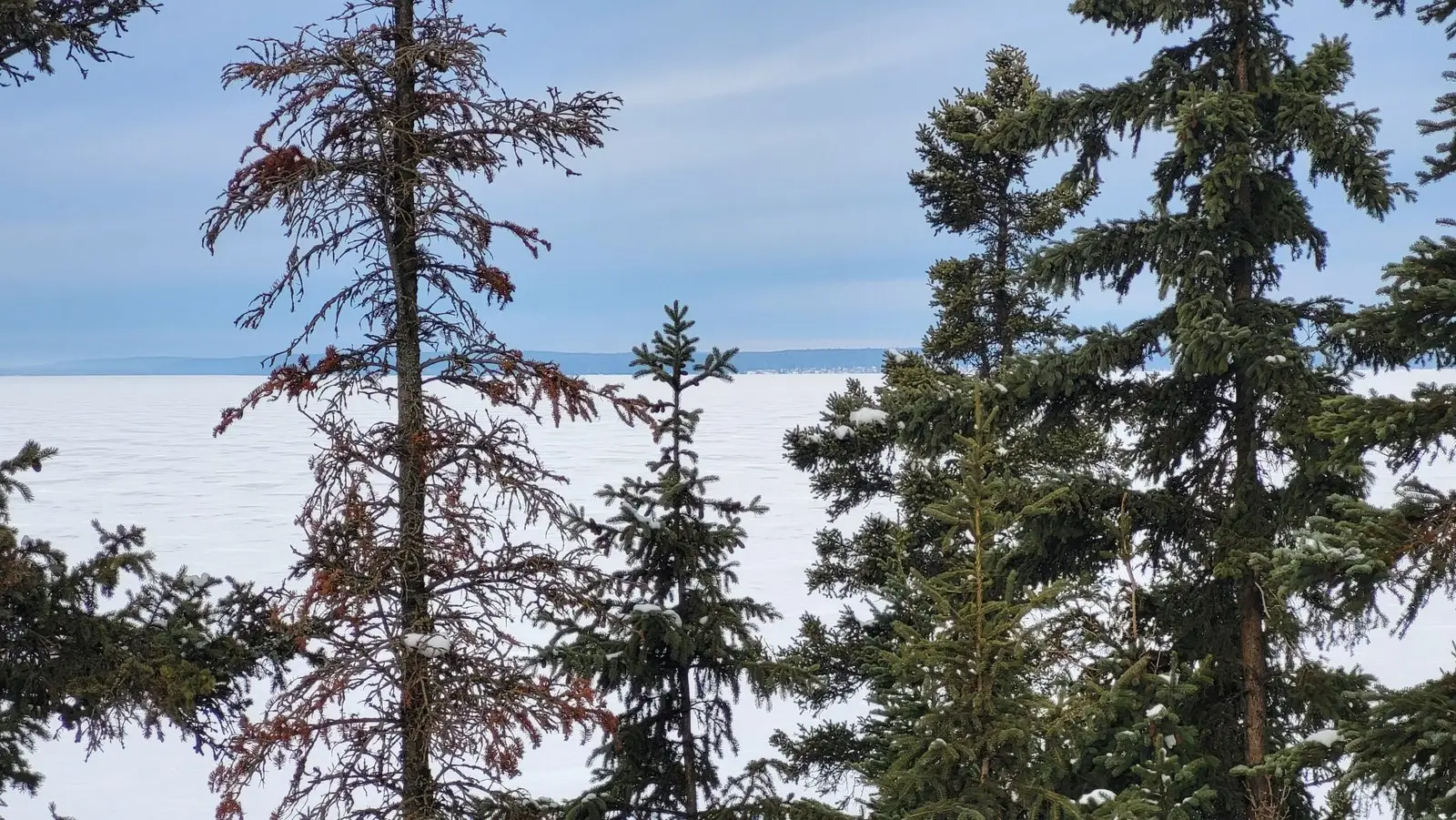 Waskesiu Resorts - Venues - Prince Albert, Saskatchewan (photo 2)
