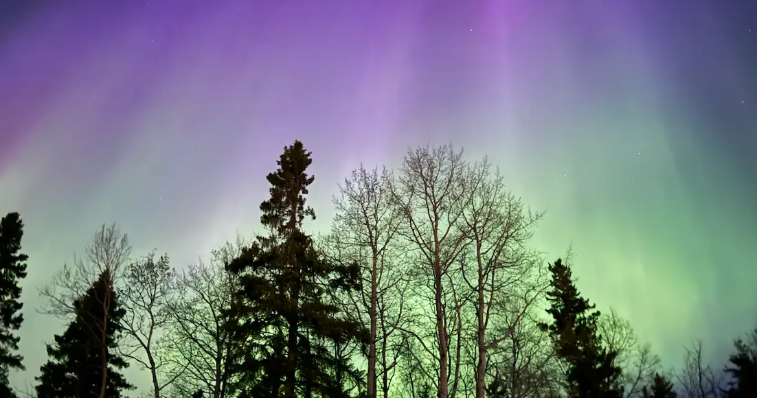 Waskesiu Resorts - Venues - Prince Albert, Saskatchewan (photo 3)