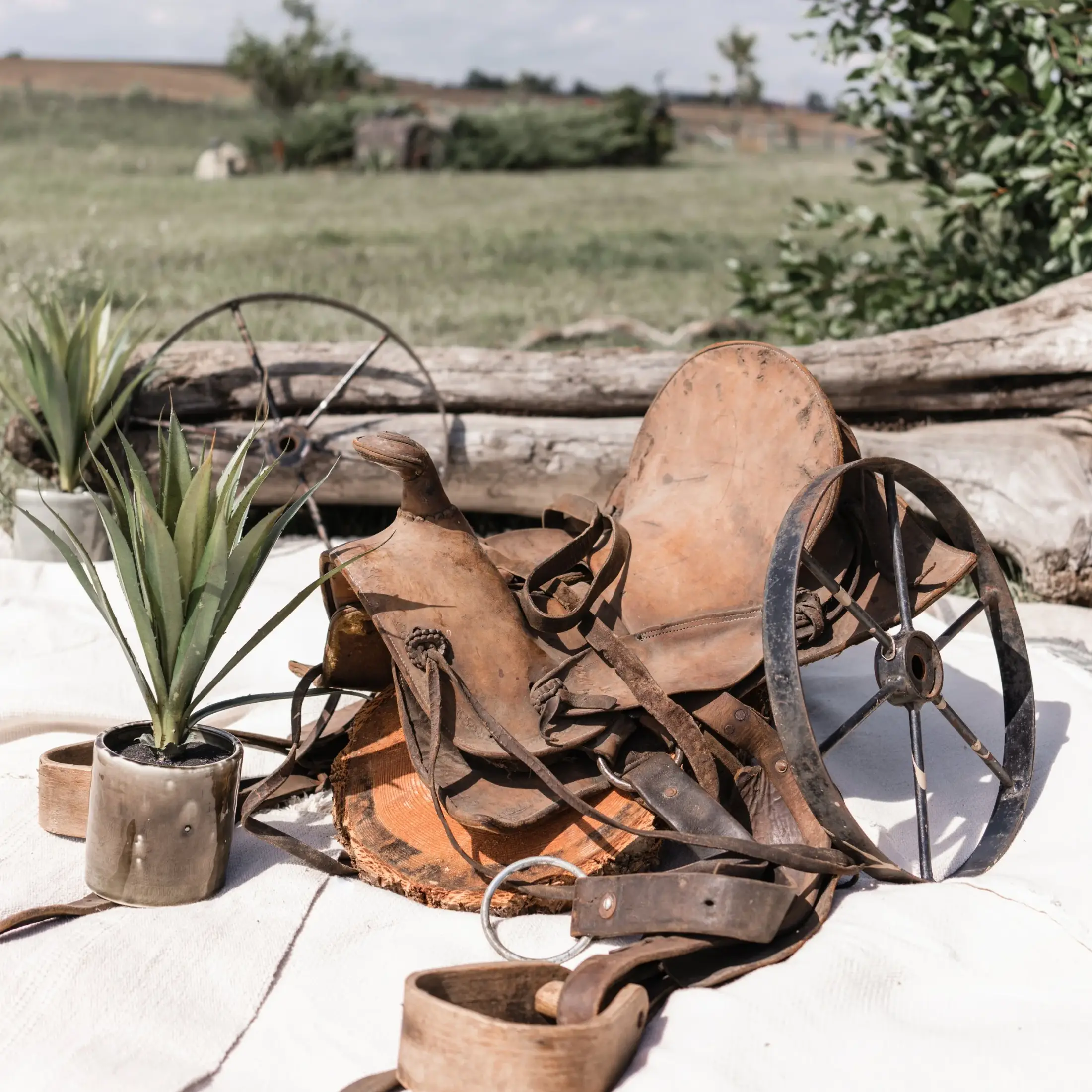 Captivating Occasions Inc. - Wedding Planners / Coordinators - Banff, Alberta (photo 8)