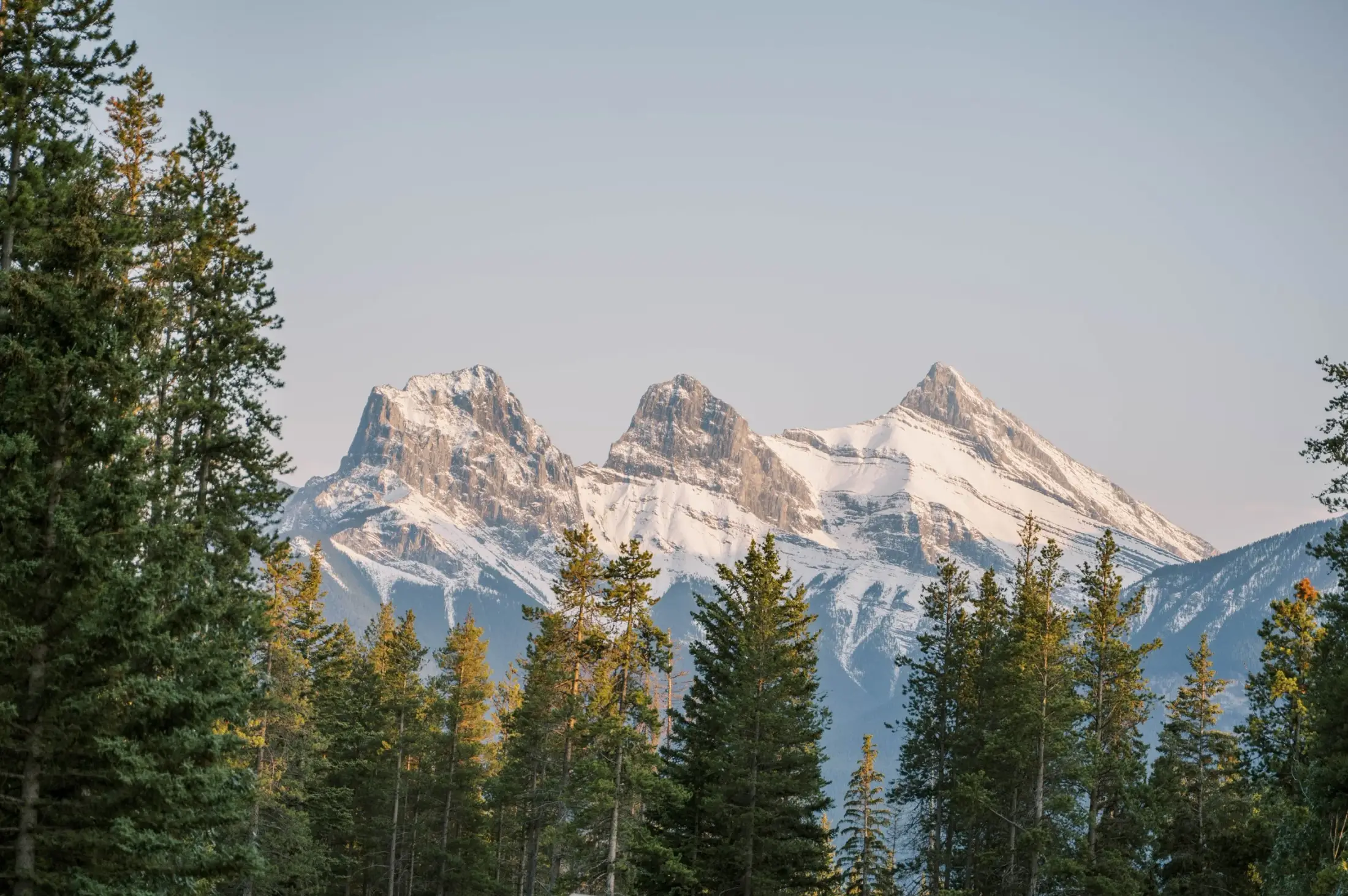 Lottie Weddings - Wedding Planners / Coordinators - Banff, Alberta (photo 8)