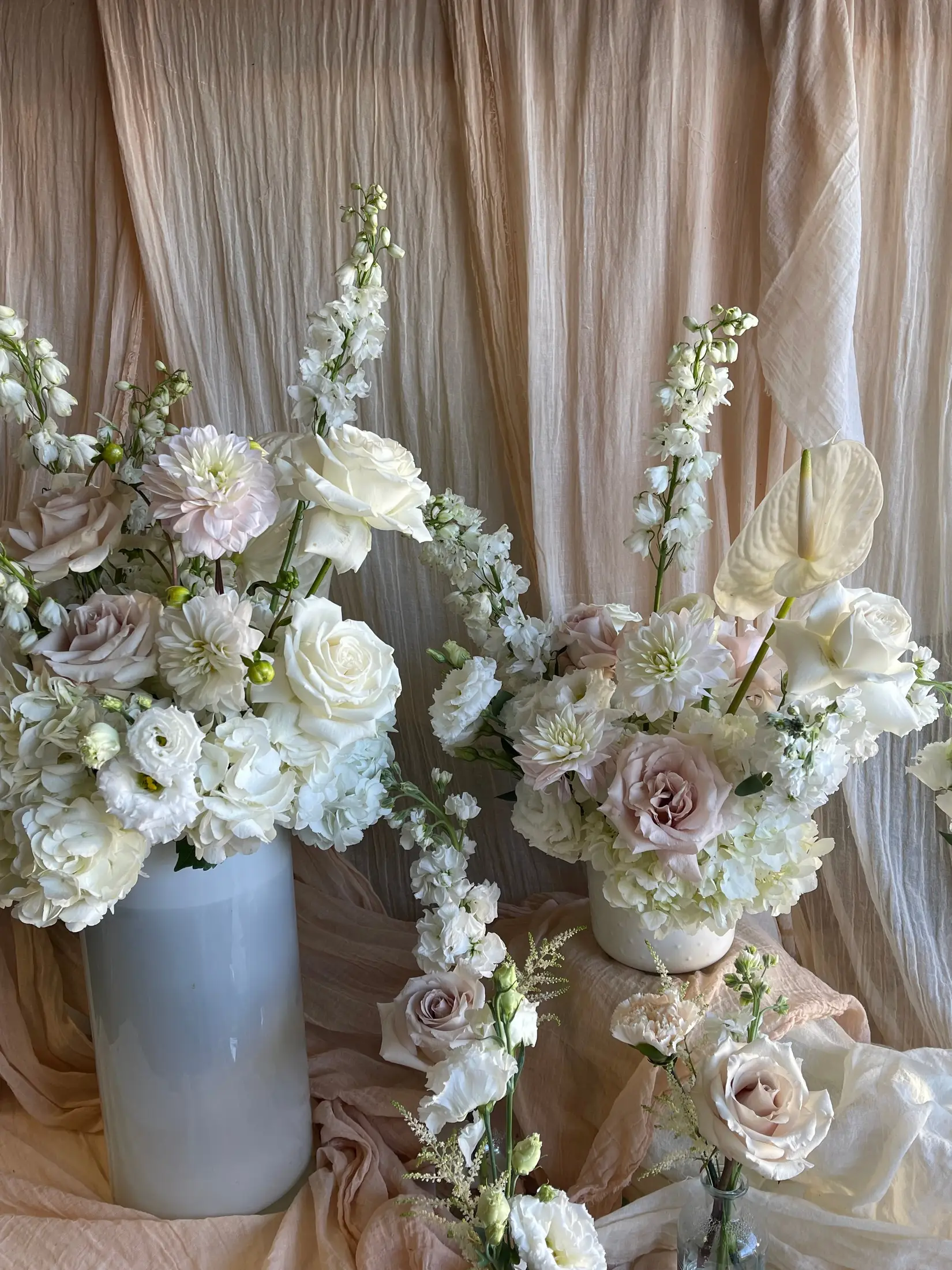 Capital Florist - Florists - Ottawa, Ontario (photo 1)