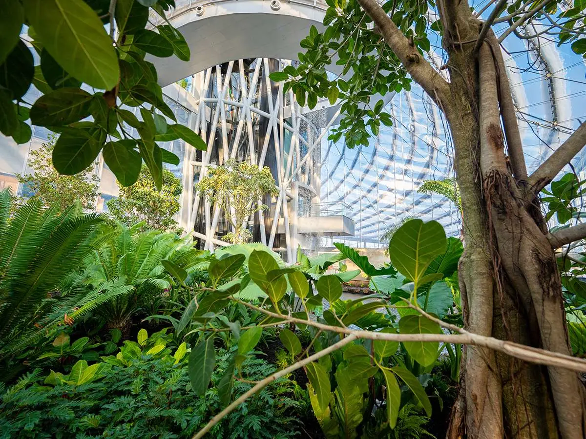 Assiniboine Park Conservancy - Venues - Winnipeg, Manitoba (photo 5)