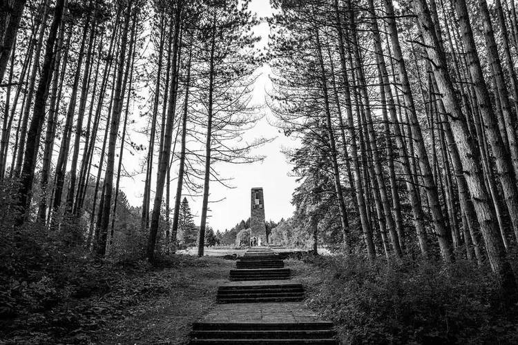 Primp & Pop - Wedding Planners / Coordinators - Toronto, Vancouver Island (photo 4)