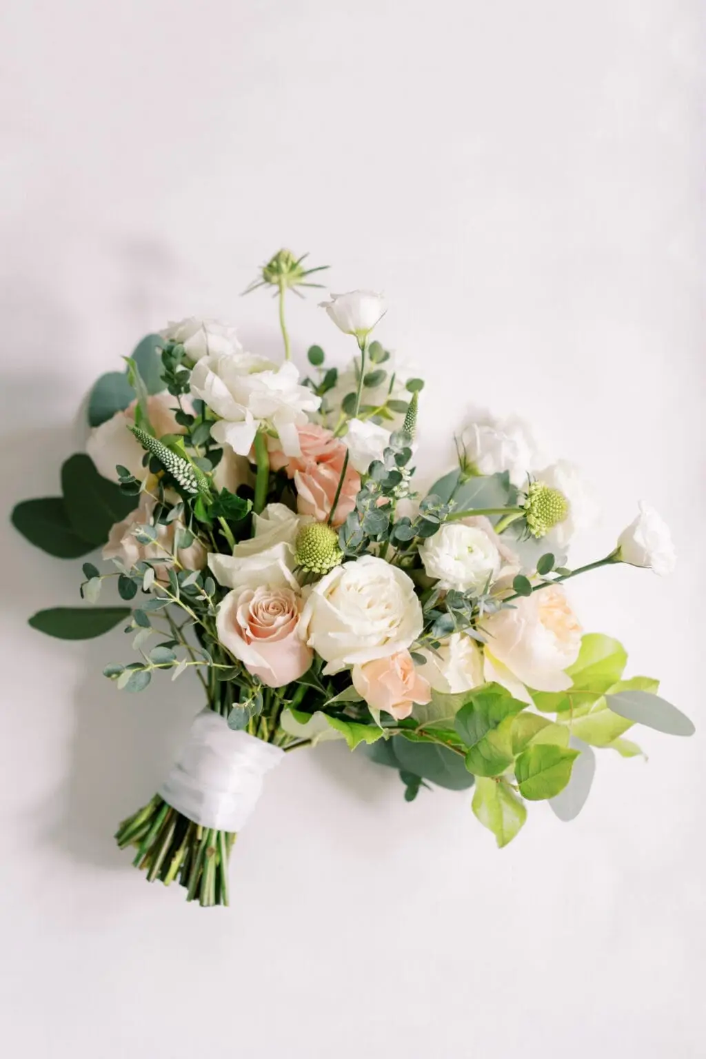 VintageBASH - Rentals - Kitchener / Waterloo, Vancouver Island (photo 10)