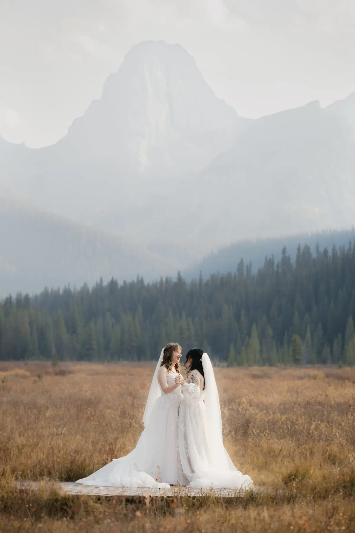 Hearts In Reverie - Videographers - Banff, Vancouver Island (photo 1)
