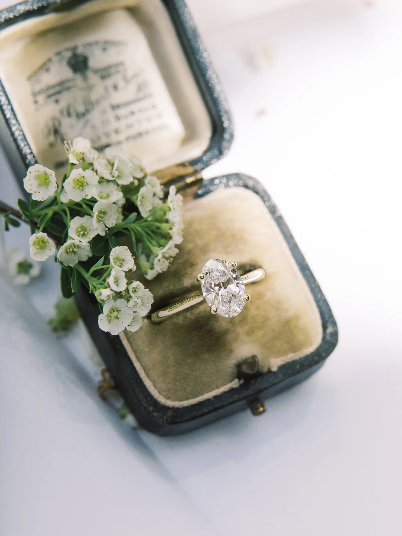 Fiore fine events - Wedding Planners / Coordinators - Banff, Alberta (photo 1)
