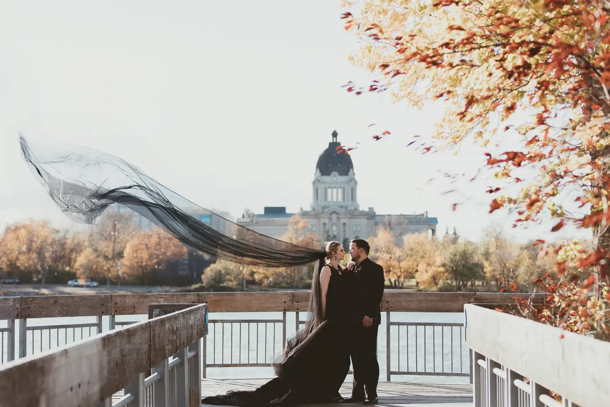 Miale Photography - Photographers - Regina, Vancouver Island (photo 2)