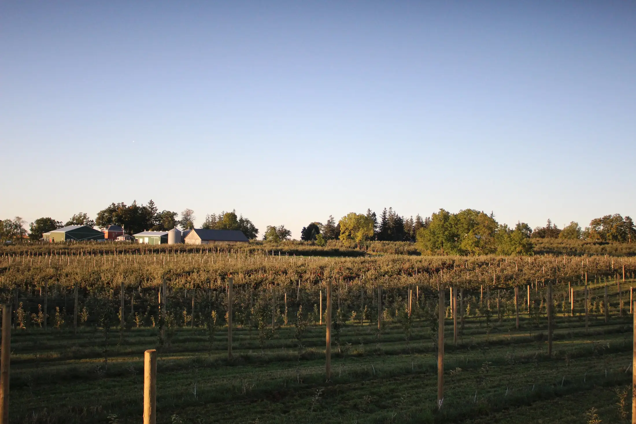Brantview Apples & Cider - Venues - Guelph, Ontario (photo 1)