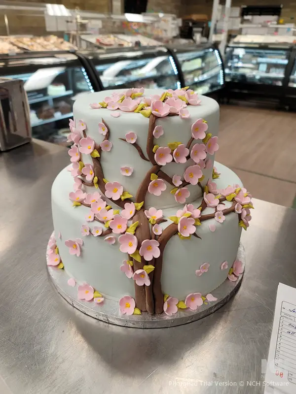 Goodies Bake Shop - Cakes & Desserts - Winnipeg, Manitoba (photo 6)