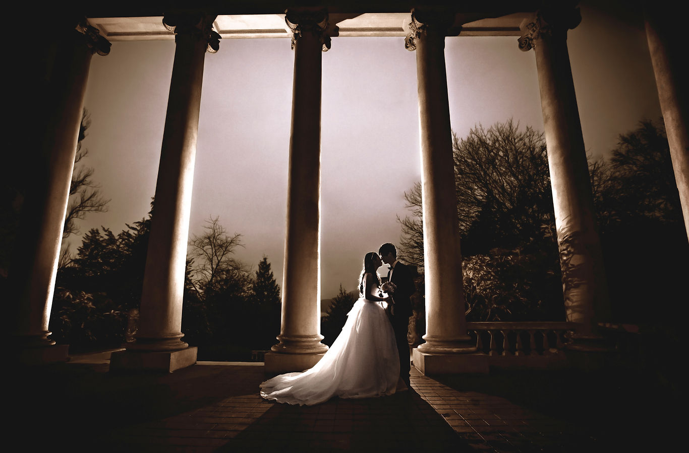 iPixels Production (Photo & Cinema) — Photographers — Surrey, Vancouver Island (photo 2)