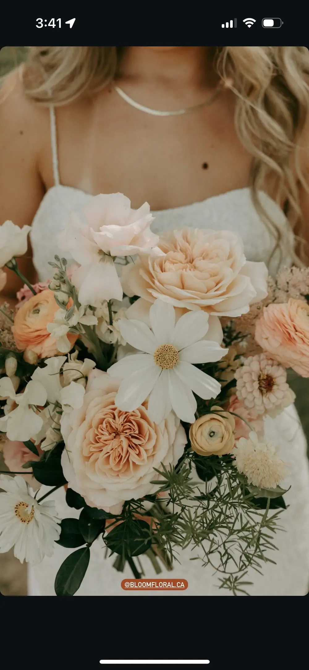 Bloom Floral Creative