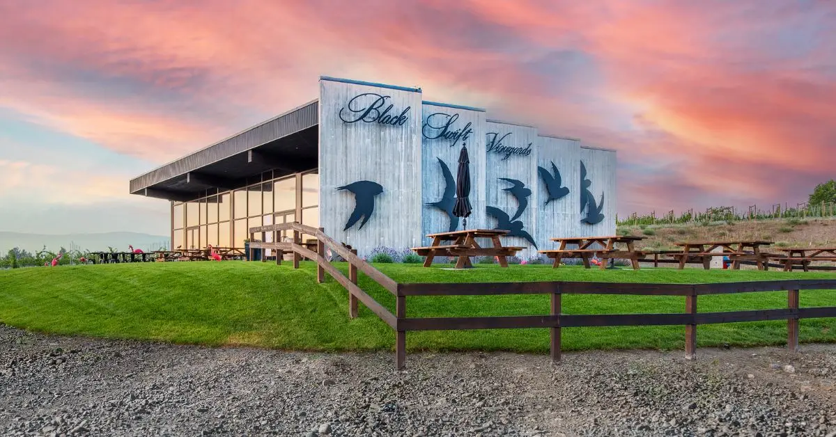 Black Swift Vineyards
