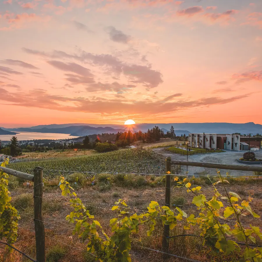 Black Swift Vineyards - Venues - Kelowna, Vancouver Island (photo 2)