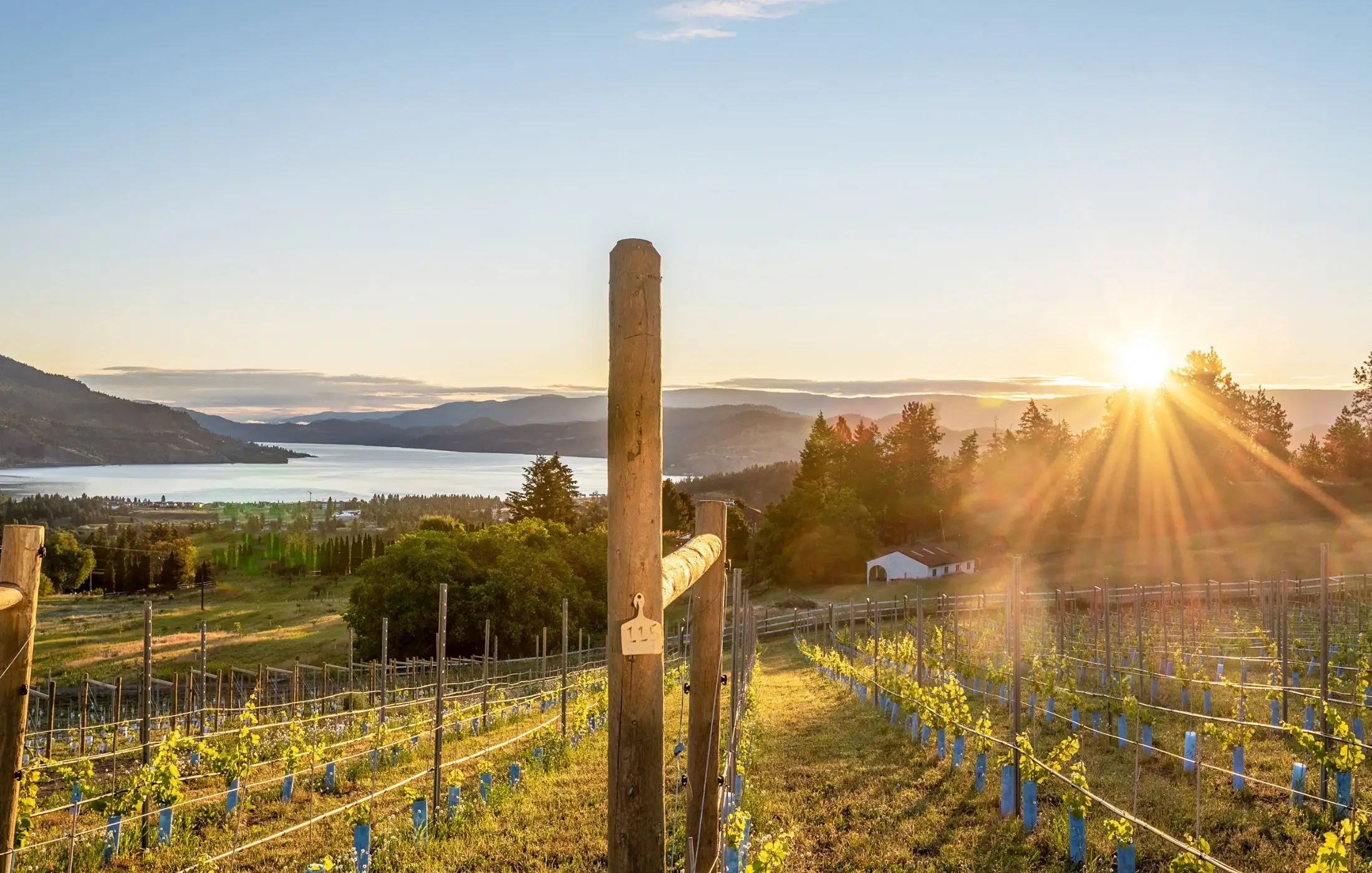 Black Swift Vineyards - Venues - Kelowna, Vancouver Island (photo 5)