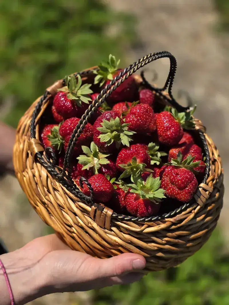 Brooklands Farm - Venues - Muskoka, Vancouver Island (photo 2)