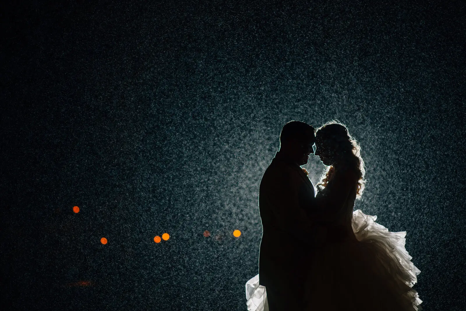 John Lyons Photography - Photographers - Guelph, Vancouver Island (photo 4)