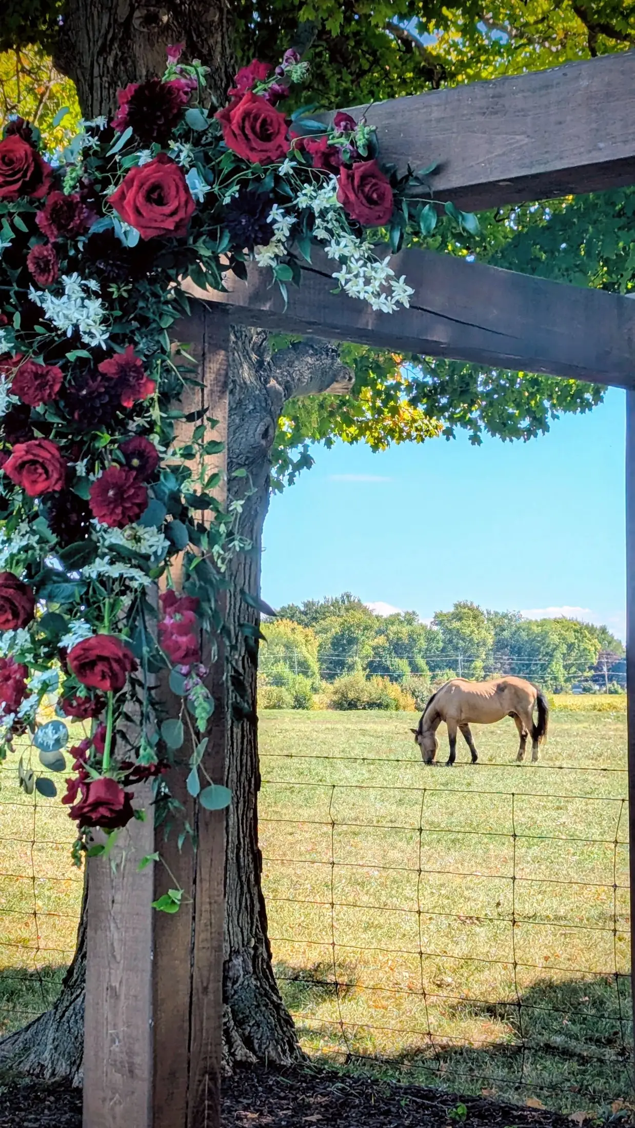 Maple Meadows Farm & Event Centre - Venues - St. Catharines, Ontario (photo 2)