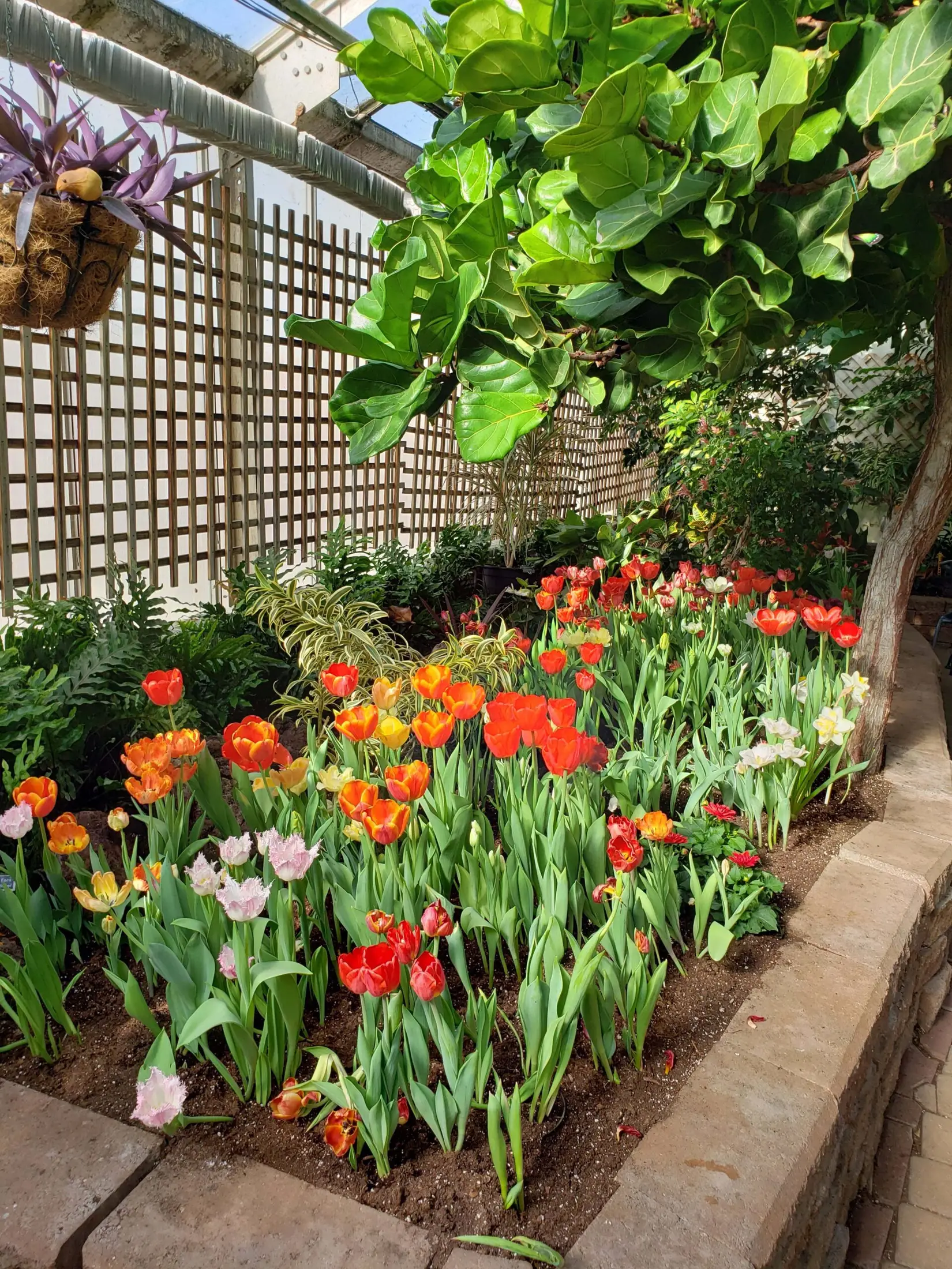 Regina Floral Conservatory - Venues - Regina, Saskatchewan (photo 1)