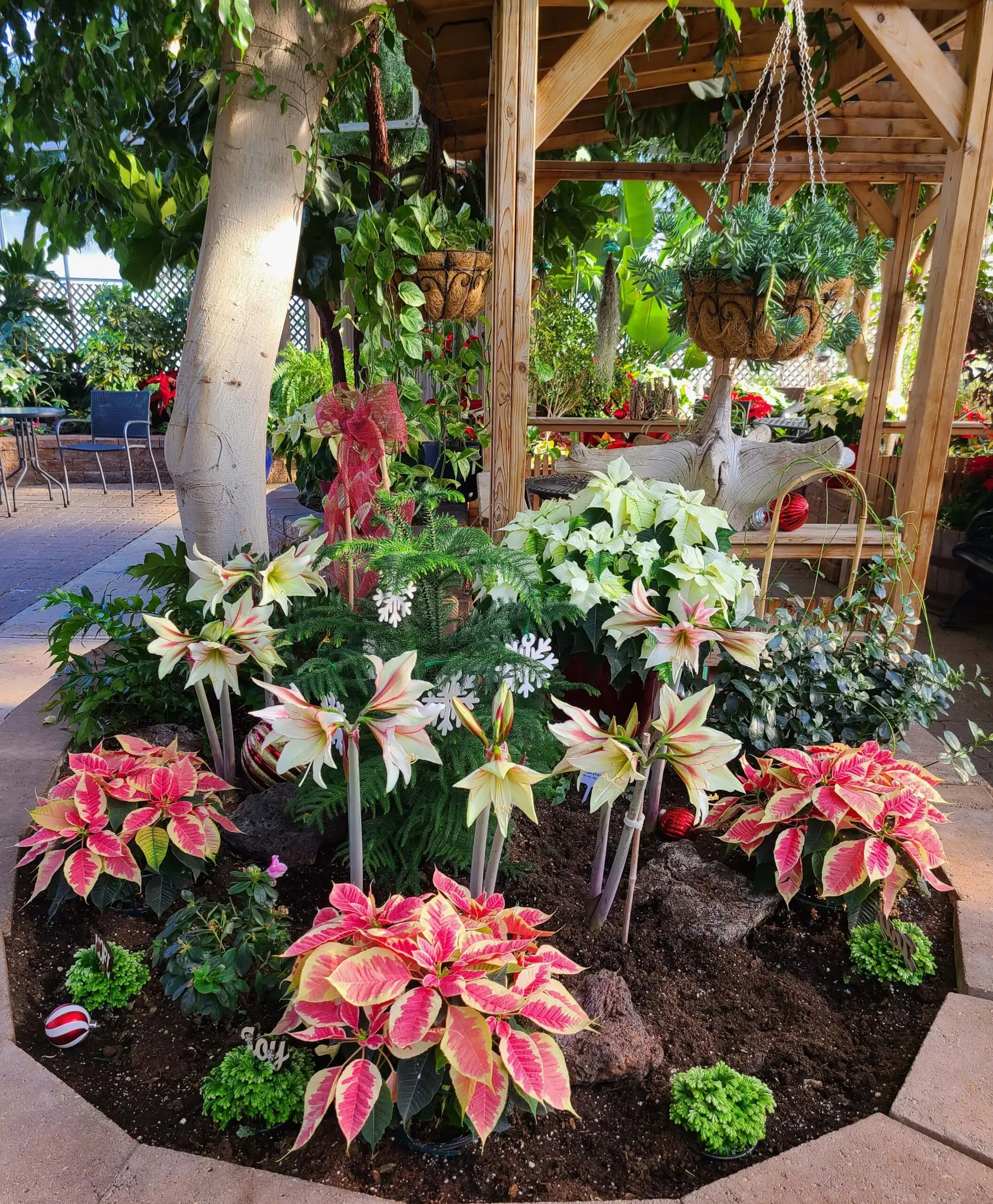 Regina Floral Conservatory - Venues - Regina, Saskatchewan (photo 3)
