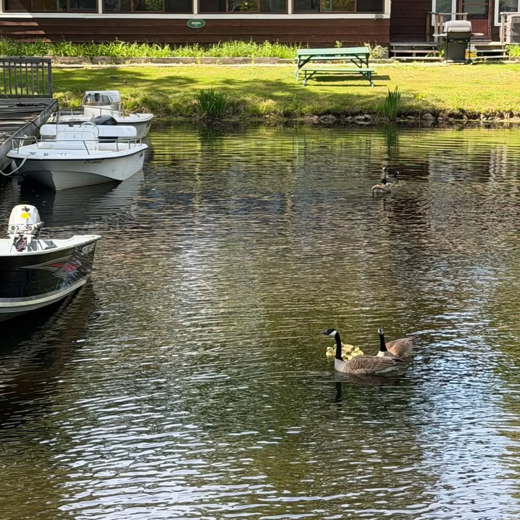 PK Lodge Lake Muskoka - Venues - Muskoka, Ontario (photo 2)