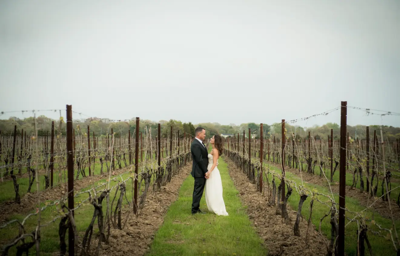 Casa-Dea Estates Winery - Venues - Prince Edward County, Vancouver Island (photo 5)