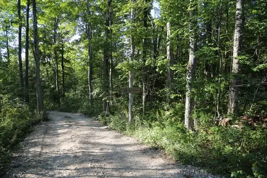 New Earth Estate - Venues - Collingwood & Blue Mountain, Ontario (photo 4)