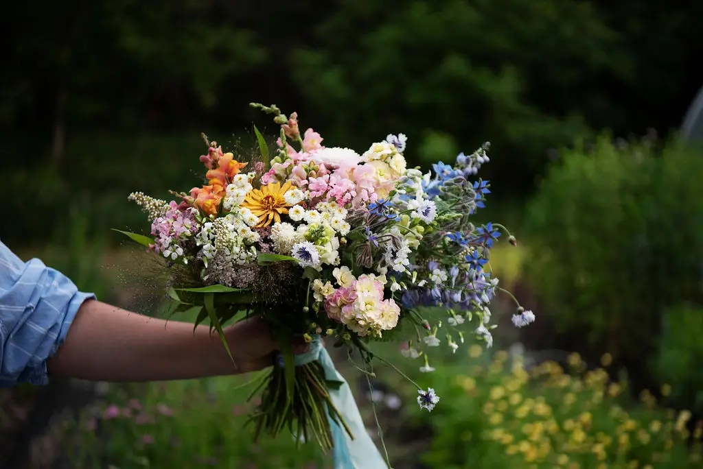 Shifting Blooms - Florists - Saskatoon, Vancouver Island (photo 6)