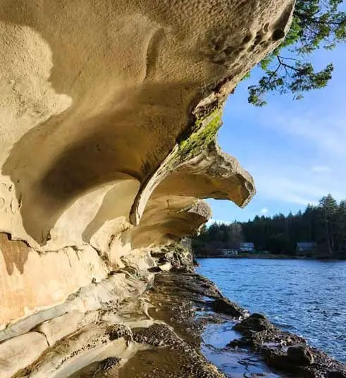 Dragon's Lodge — Venues — Nanaimo, Vancouver Island (photo 4)