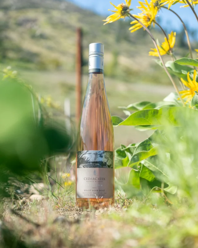 CedarCreek Estate Winery — Venues — Kelowna, Vancouver Island (photo 4)
