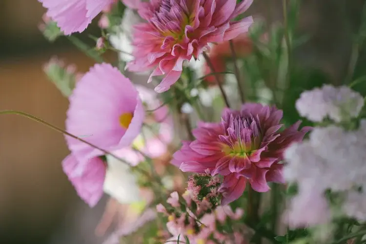 Wild Bee Florals — Florists — Comox Valley, Vancouver Island (photo 3)