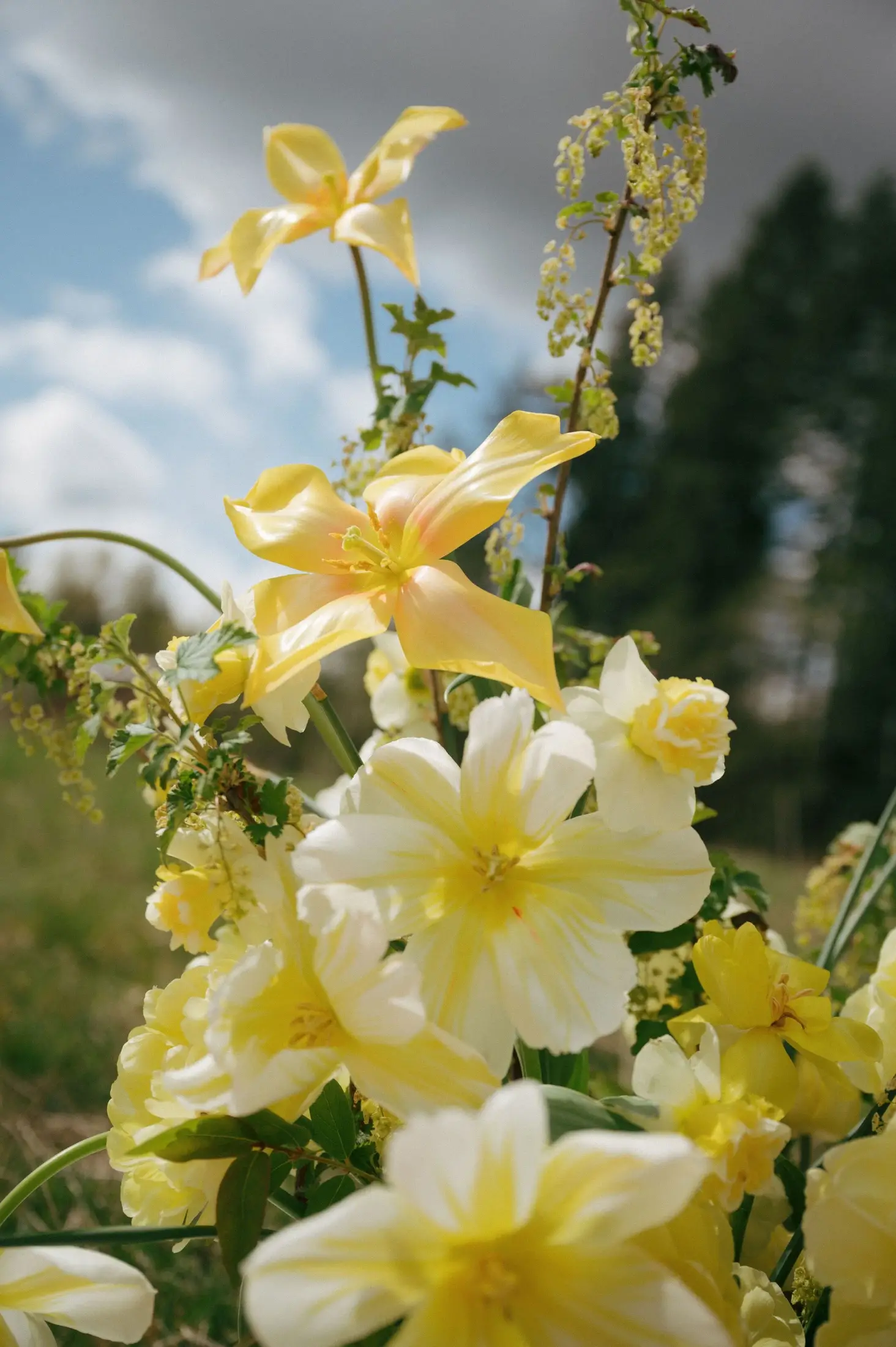 Wild Bee Florals — Florists — Comox Valley, Vancouver Island (photo 4)