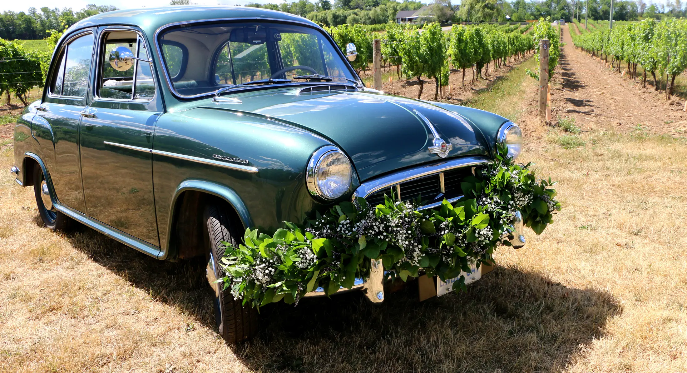 The Watering Can Weddings - Florists - St. Catharines, Ontario (photo 1)
