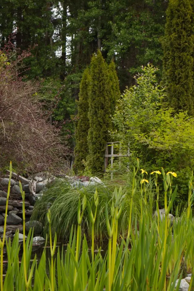 The Gardens on Anderton - Venues - Comox Valley, Vancouver Island (photo 2)