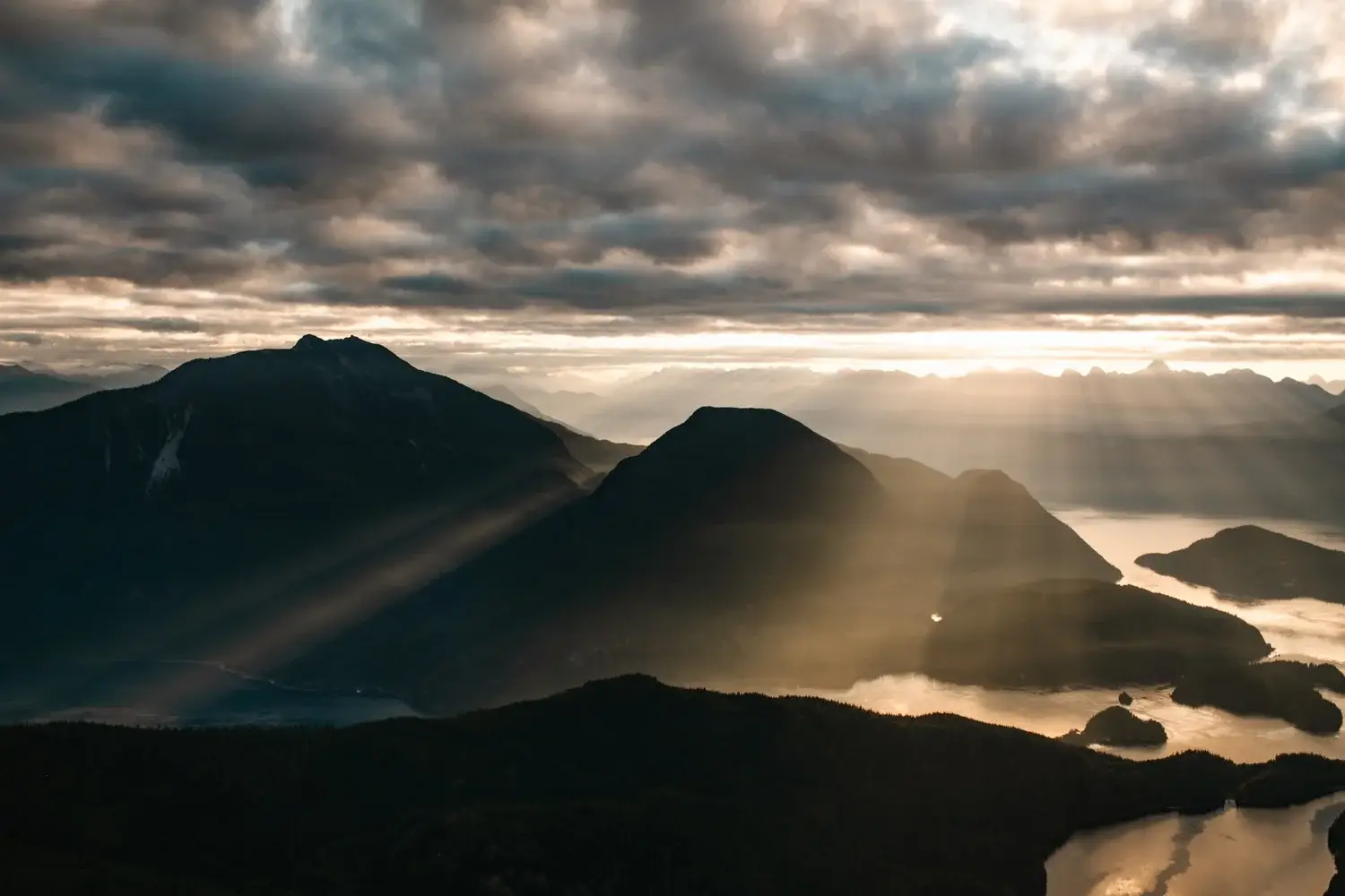 Erin Wallis Photography — Photographers — Victoria, Vancouver Island (photo 4)