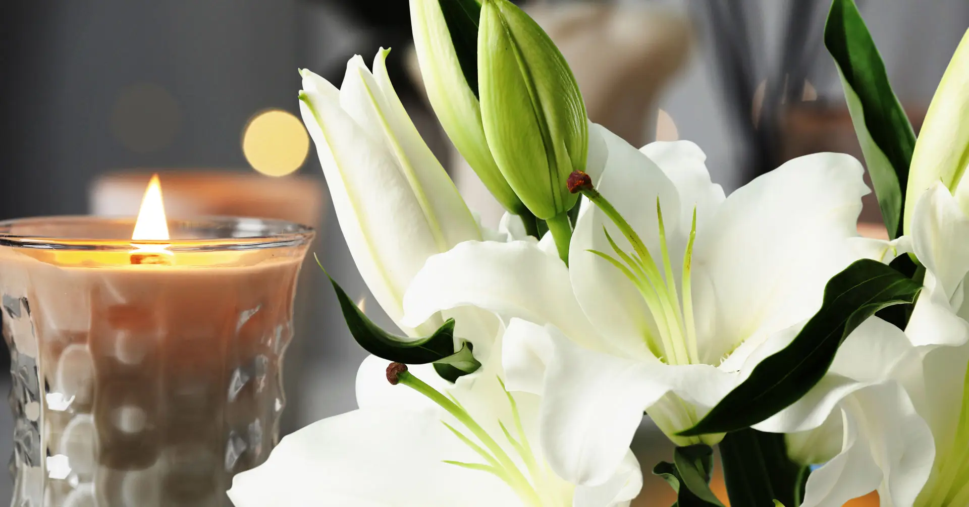 Maple Ridge Florist — Florists — Langley, Vancouver Island (photo 3)