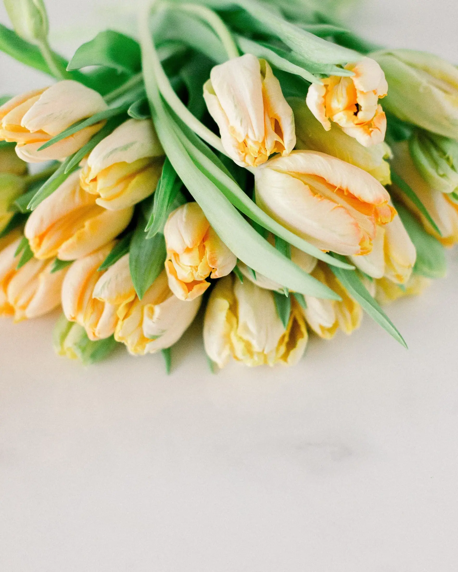 Twig and Bloom