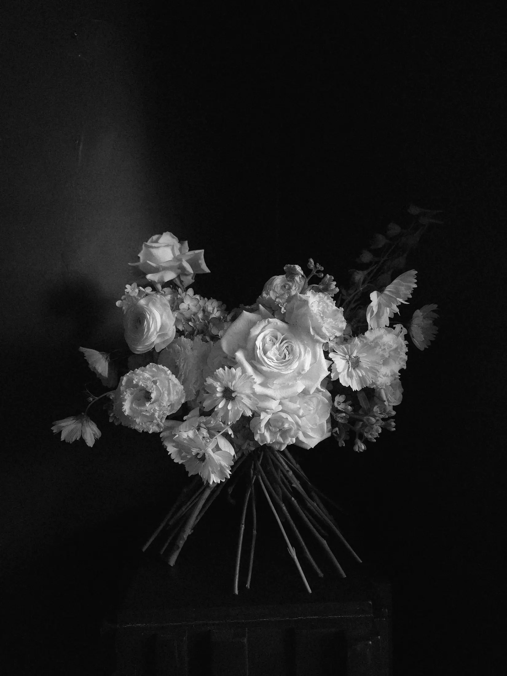 Grow & Bloom Co. - Florists - Hamilton, Vancouver Island (photo 3)
