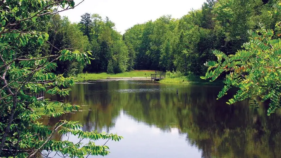 Tiffin Centre for Conservation - Venues - Barrie, Ontario (photo 2)