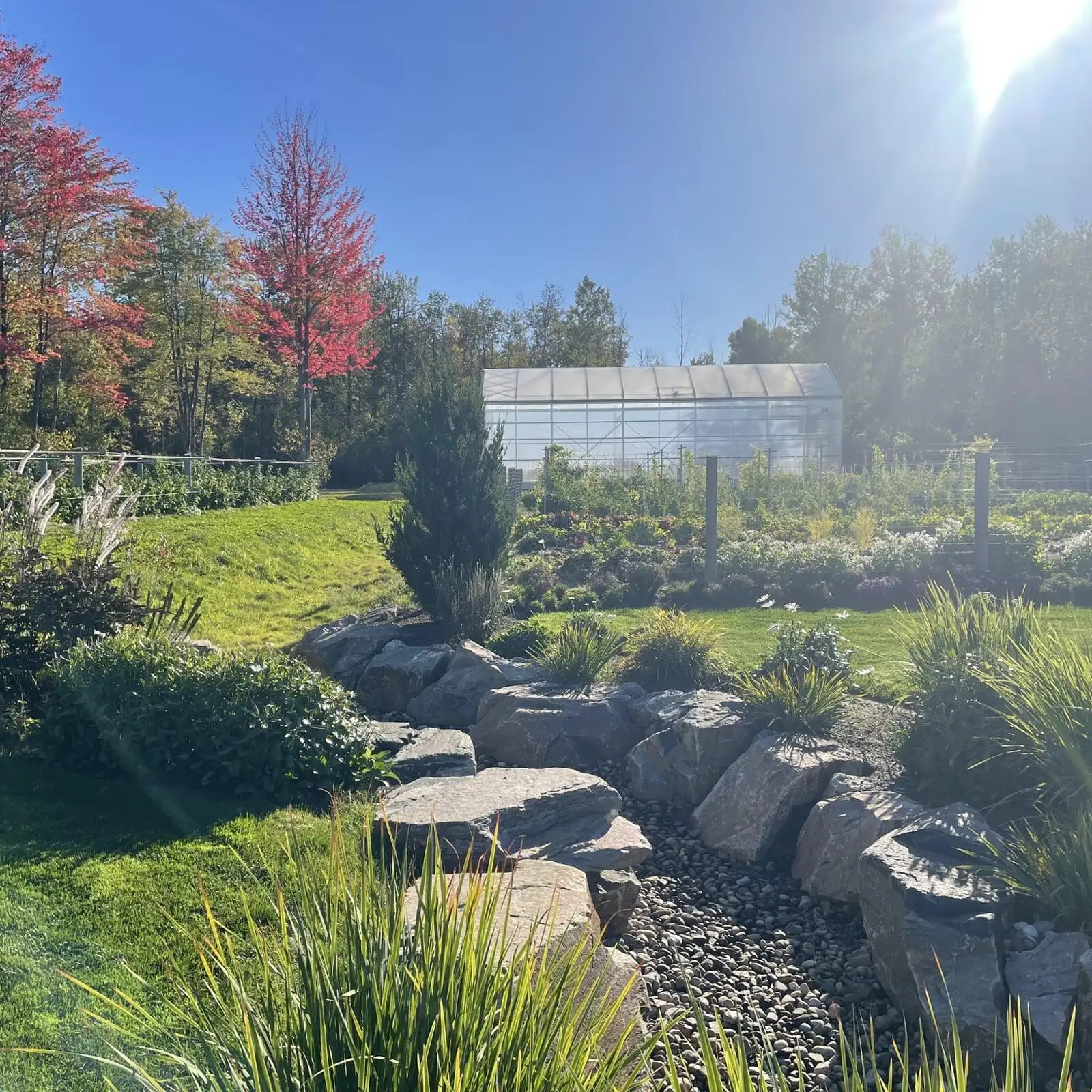 Aquatopia Water Garden Conservatory - Venues - Ottawa, Ontario (photo 2)