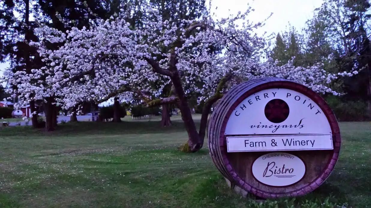 Cherry Point Estate Wines - Venues - Cowichan Valley, Vancouver Island (photo 1)